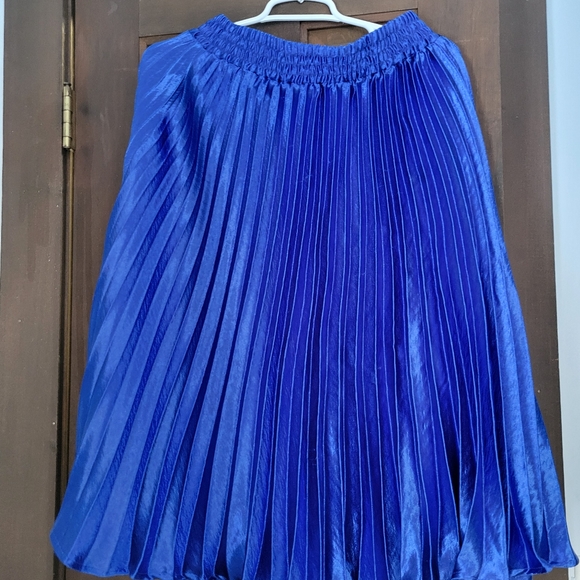 NWOT Anthropologie HD in Paris Gemma Pleated Skirt - Picture 2 of 2